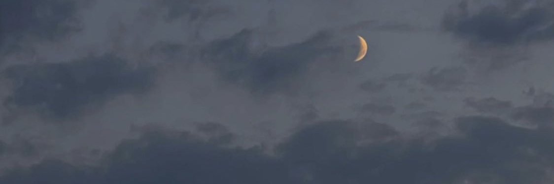 wropms's profile banner image