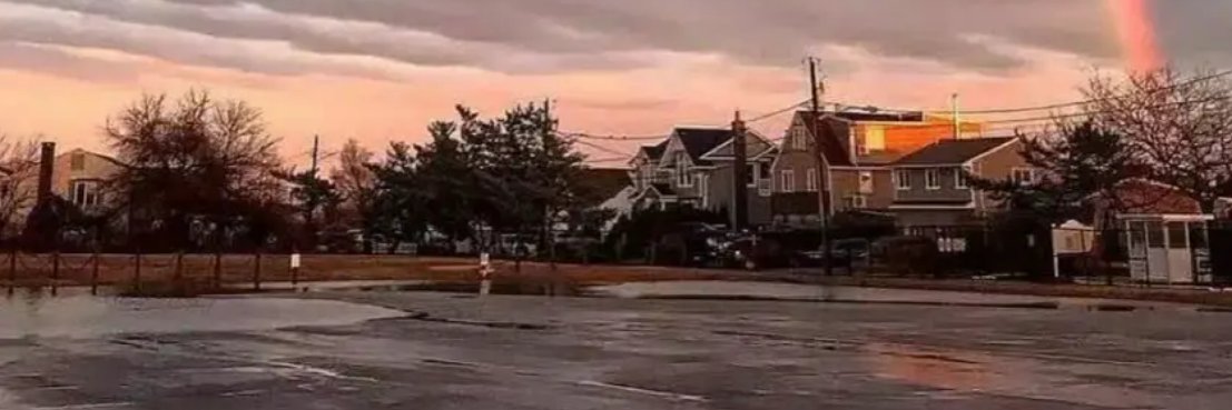 qishui.lens(🌸, 🌿)(📽️, 🌿)(✸,✸) banner