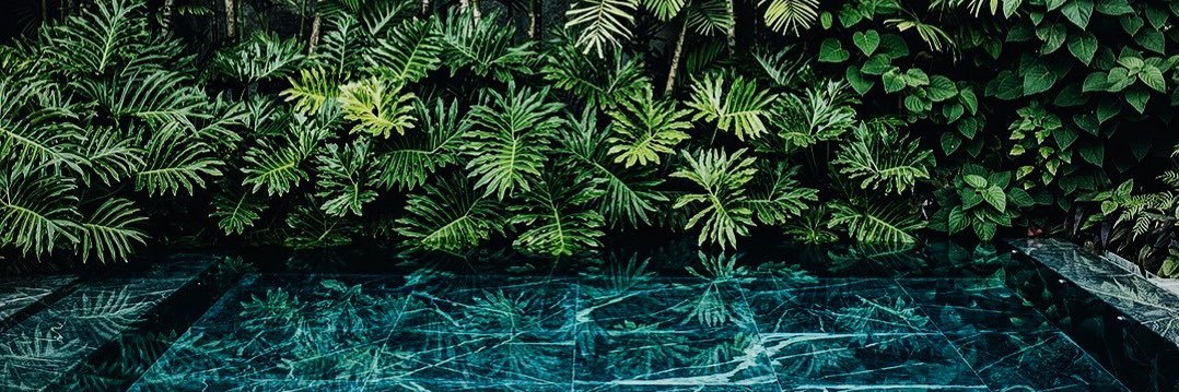 drbake17's profile banner image