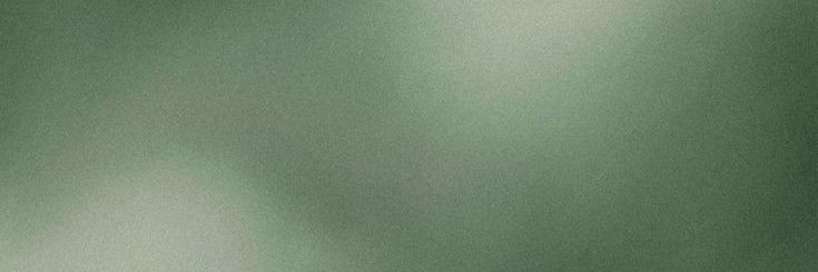 alleuel's profile banner image