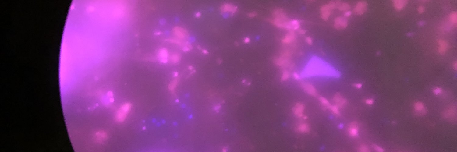 Dr_Bat98's profile banner image