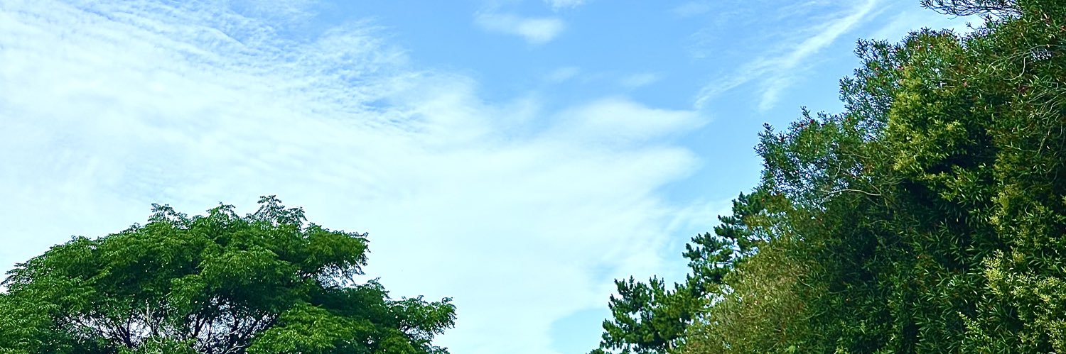 sunusunu 🟣 banner