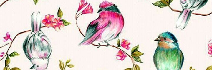 gracek_alves's profile banner image