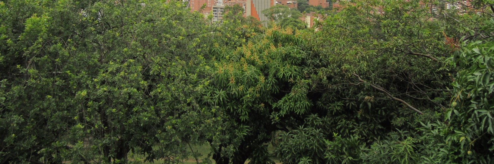 irisariadna's profile banner image
