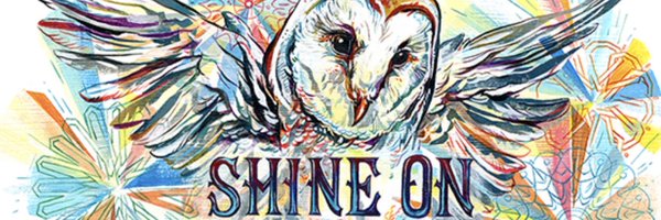 KeeperBirds Profile Banner