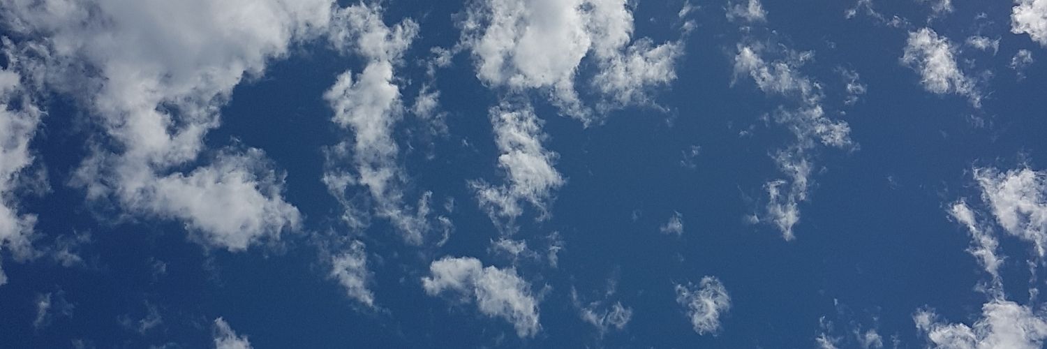MacaToV's profile banner image