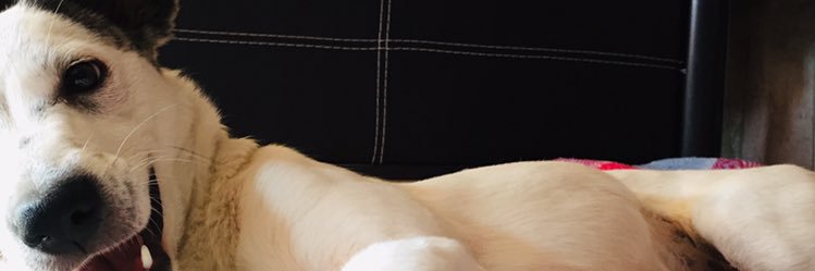 ValeMota7's profile banner image