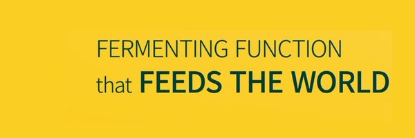 eggmented1 Profile Banner