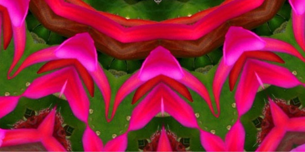 fernandacueva's profile banner image