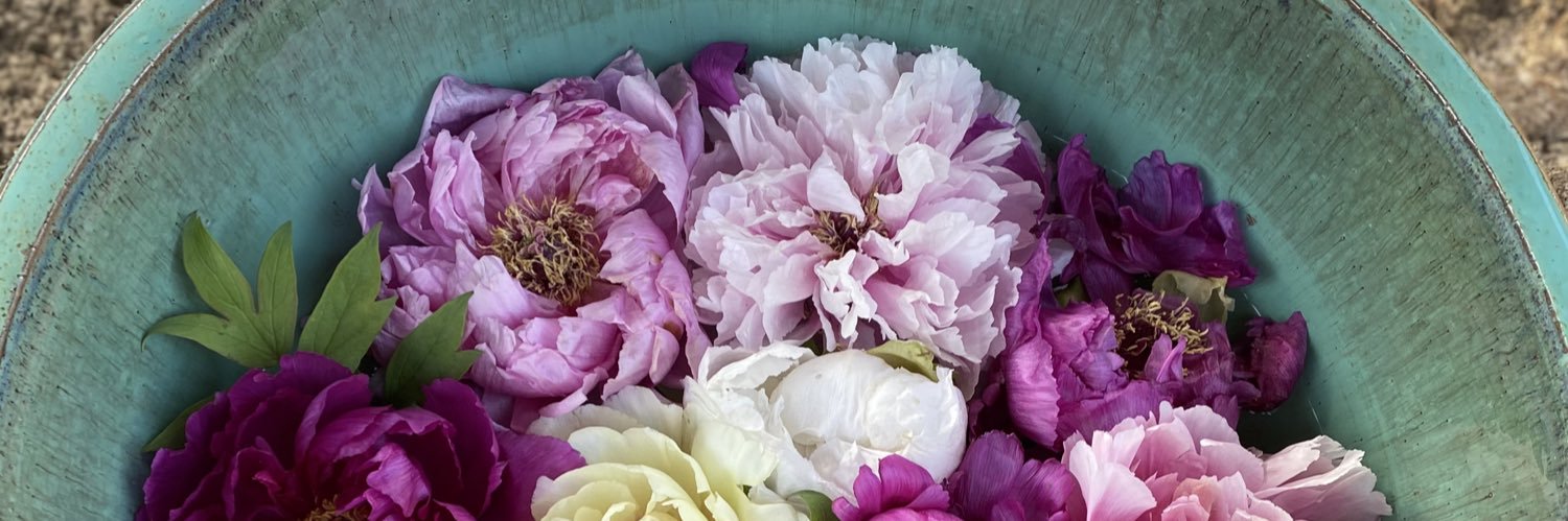 あひるさん2号 banner