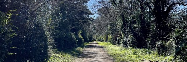 stphndxn Profile Banner