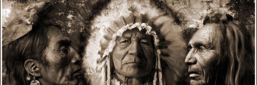 nativeamerican.usa banner