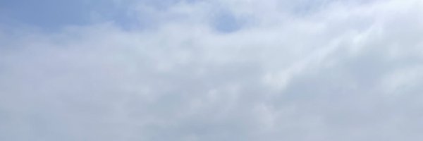 EmilyBrownson3 Profile Banner