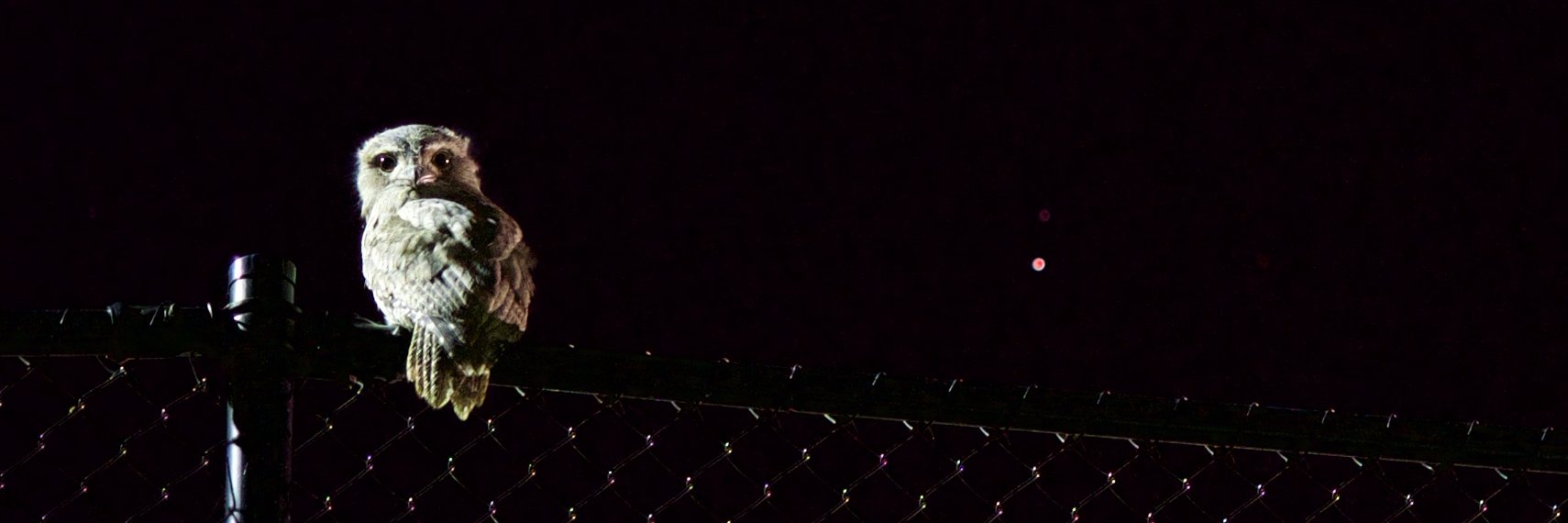 Jivesucka52's profile banner image