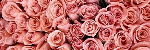 Windy Aulia Utari banner