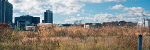 FotoVerite Profile Banner