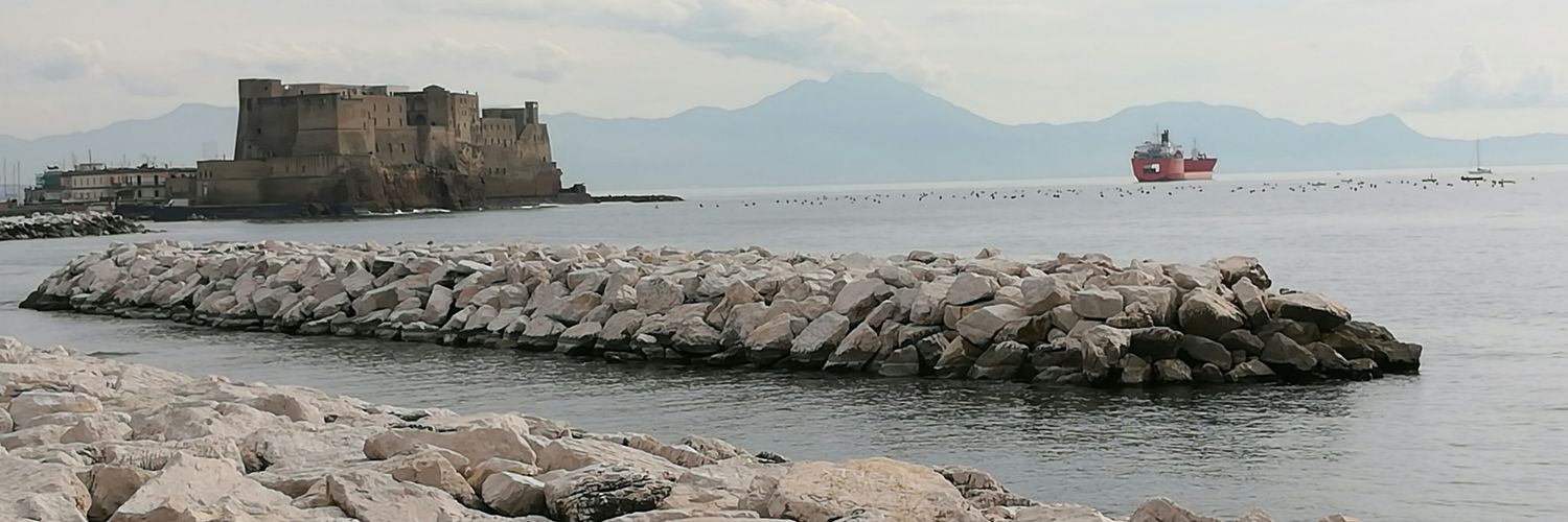 Emanuel Piscopo banner