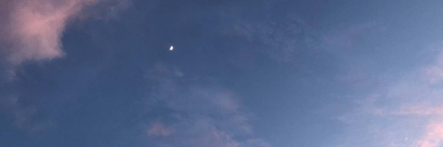 Rebecca McNulty banner