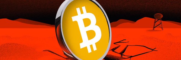 SaniExp Profile Banner