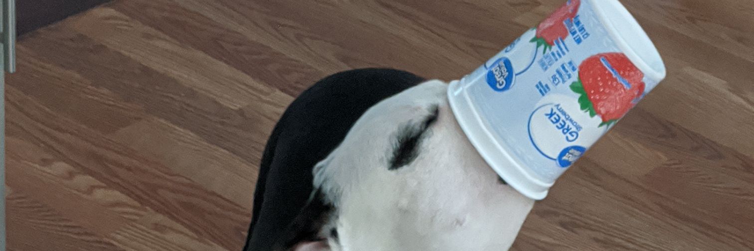 Rivers banner