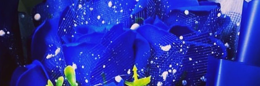 OXoxo1106's profile banner image