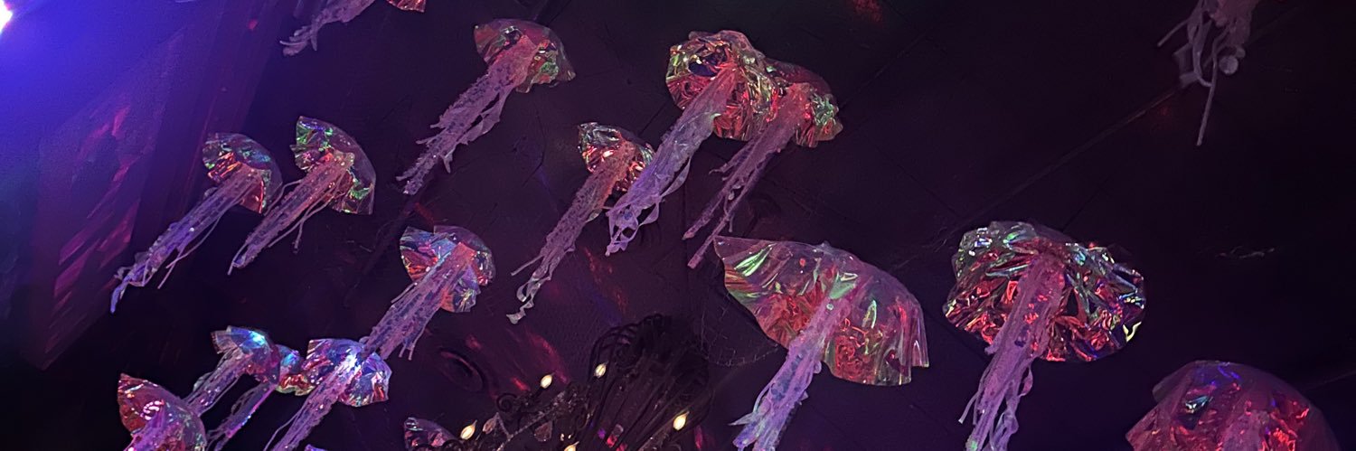 LasshGirl's profile banner image