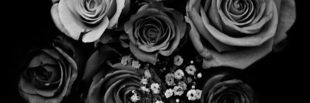 _xrrae's profile banner image