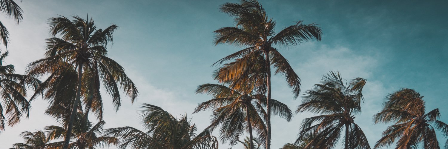 Raphael__Freire's profile banner image