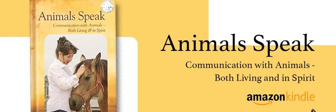 PatriciaAnimals's profile banner image