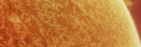 THEREALDOGPAW Profile Banner
