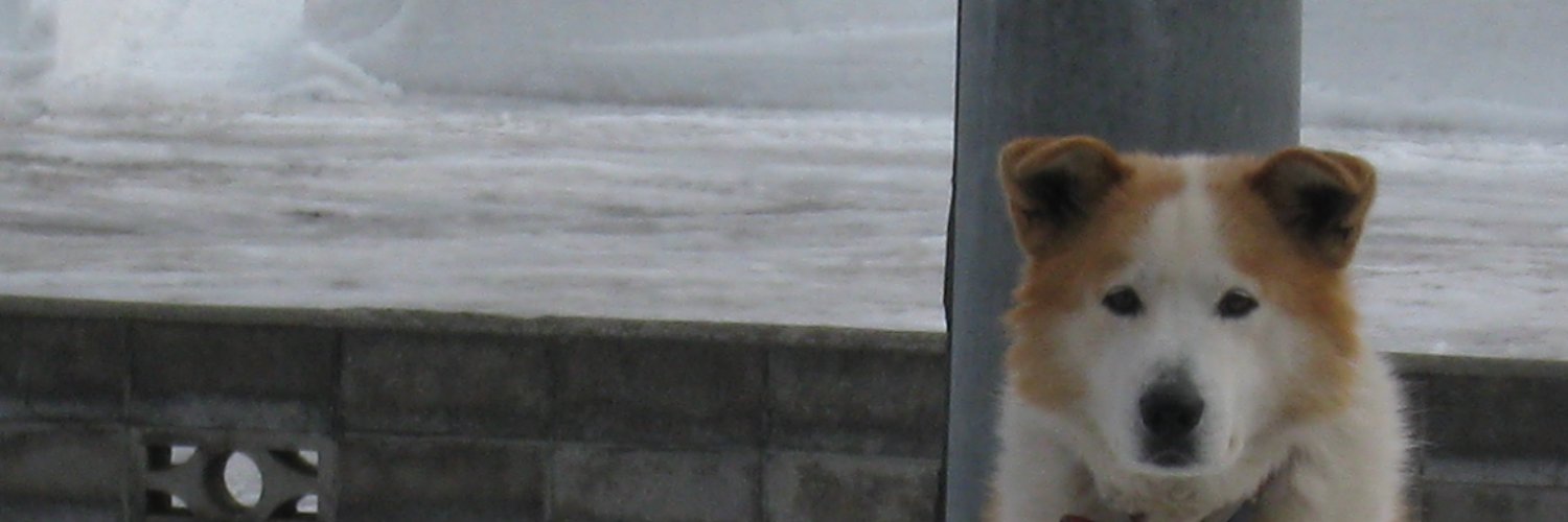 eva_no5's profile banner image