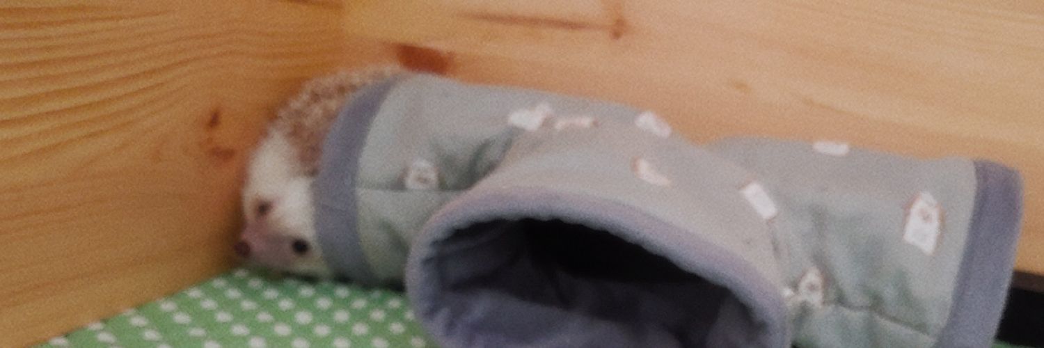 천재 고슴도치 𝕄𝕆ℕ𝔾𝕃𝔼's banner