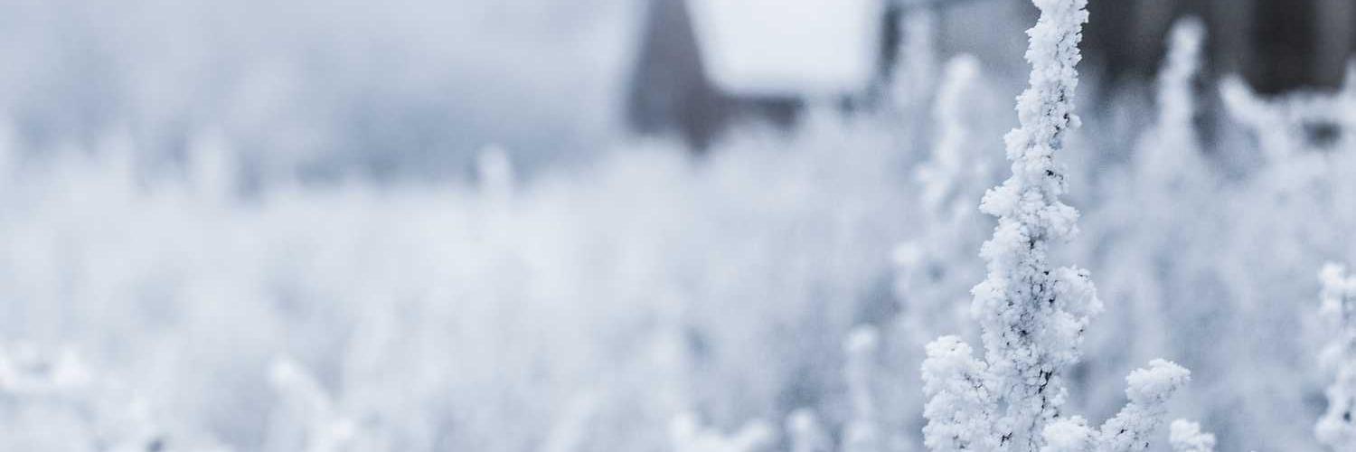 gfttyf's profile banner image