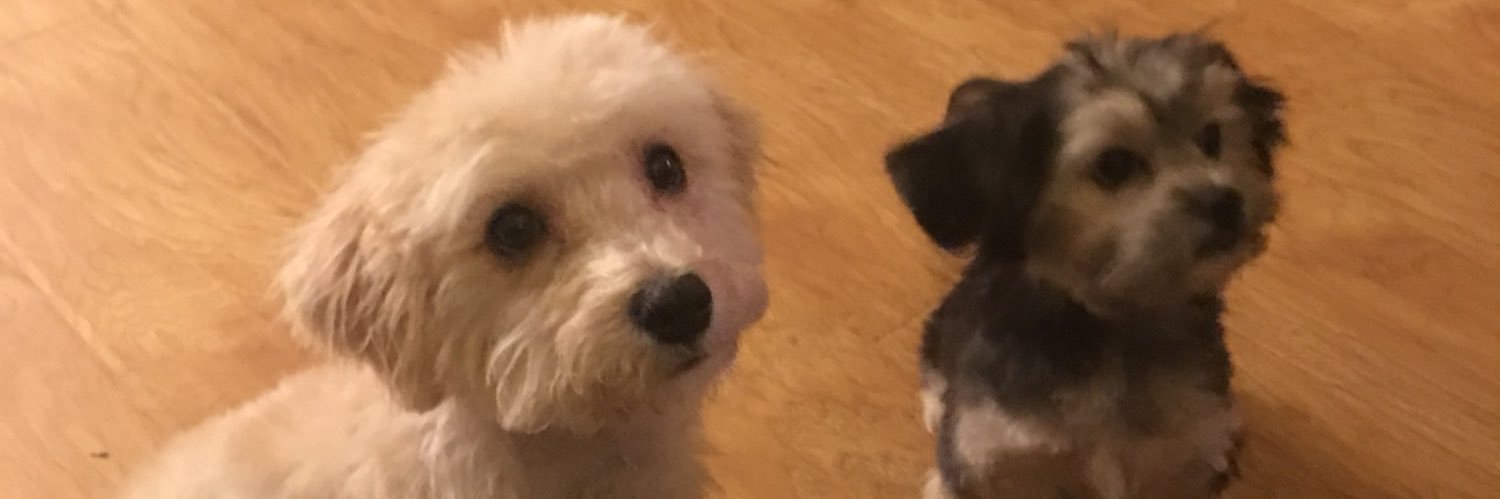 steeephon's profile banner image