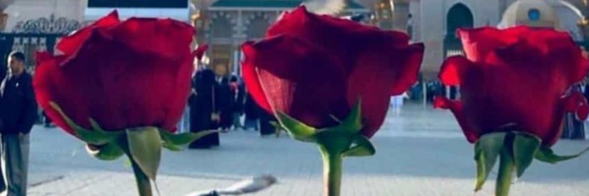 حسناء banner