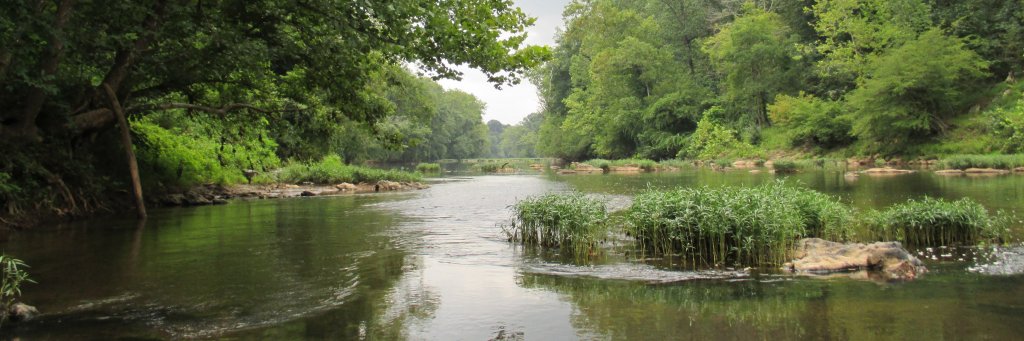 ThomasJeffersonBook banner