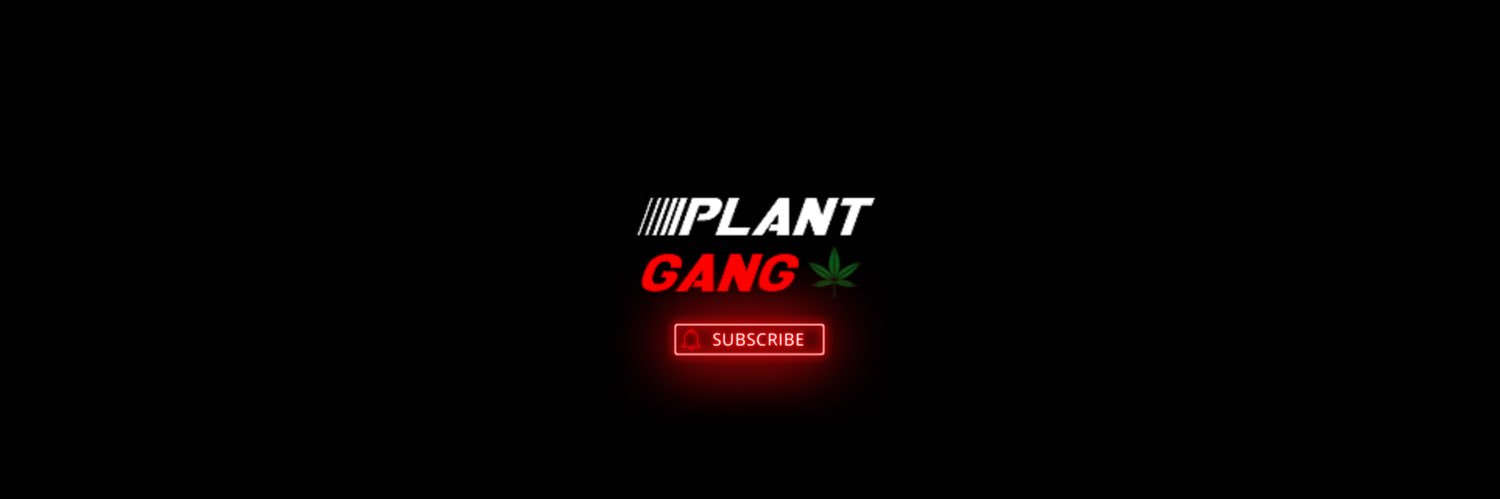 SelfExplan1's profile banner image
