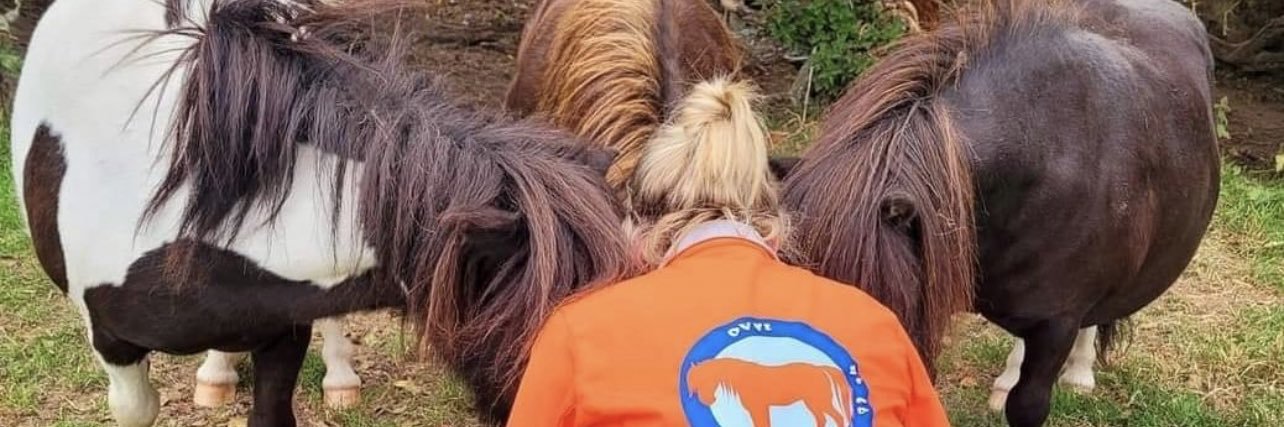 My Lovely Horse Rescue's banner