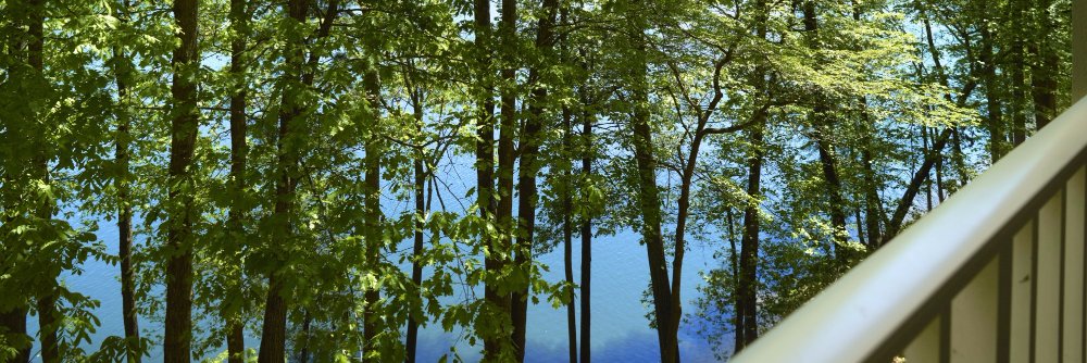 EgreenMarriott's profile banner image