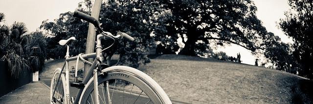 Alan_Gufron's profile banner image