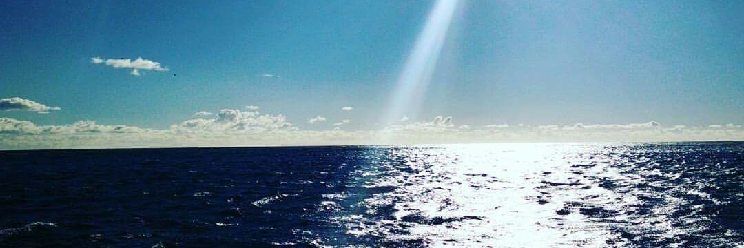 hdharia's profile banner image