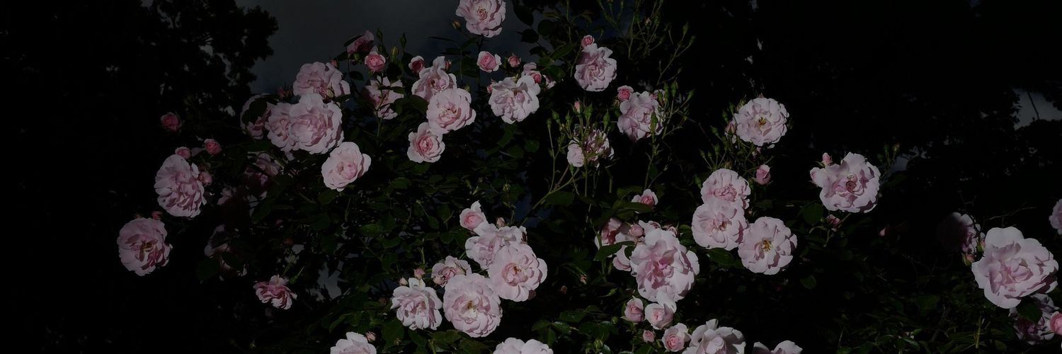 The_Dump21's profile banner image