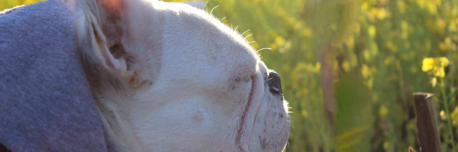 tammy_415's profile banner image
