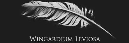 HadeelBallut's profile banner image
