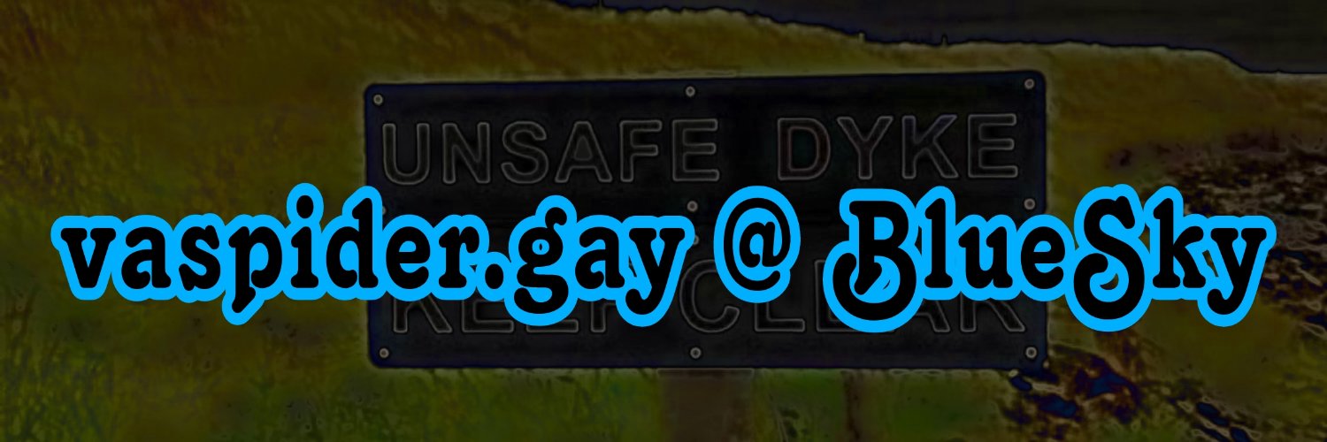 GONE: now @vaspider.gay on BlueSky banner
