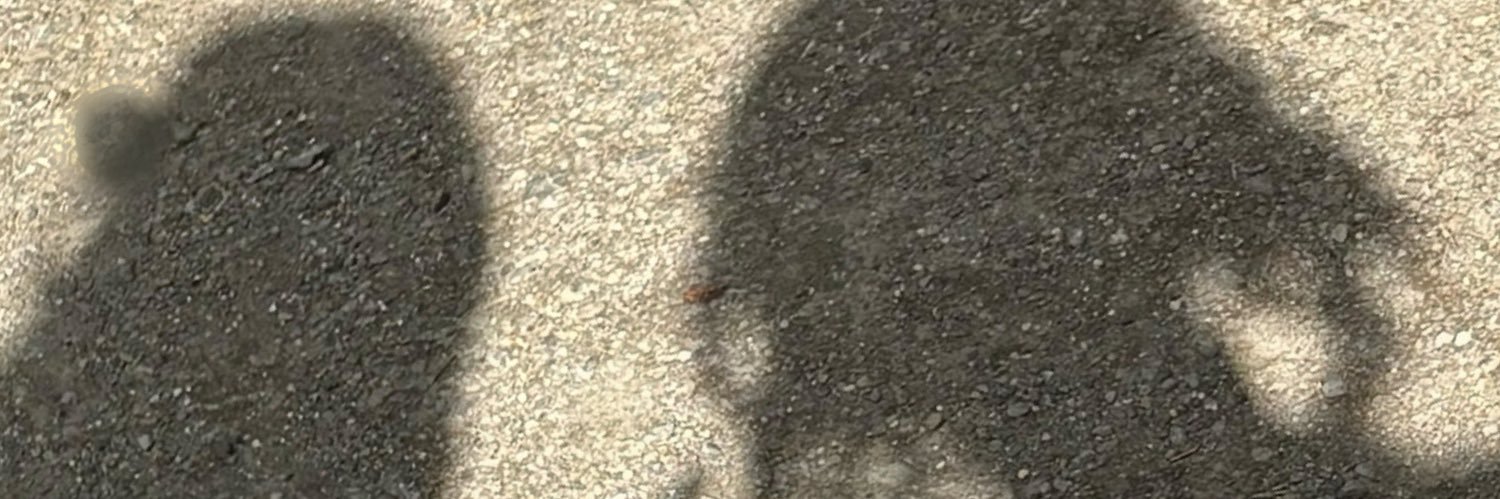 MNT_666's profile banner image