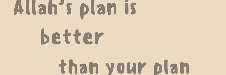 aniftrn_'s profile banner image