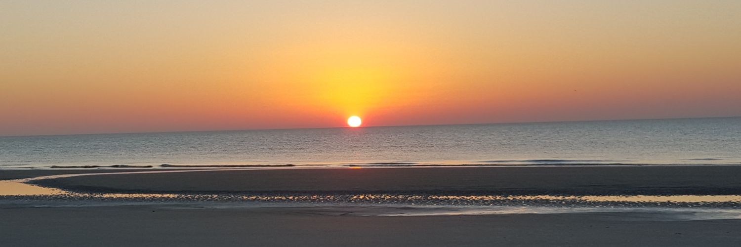Madeline_Dale's profile banner image