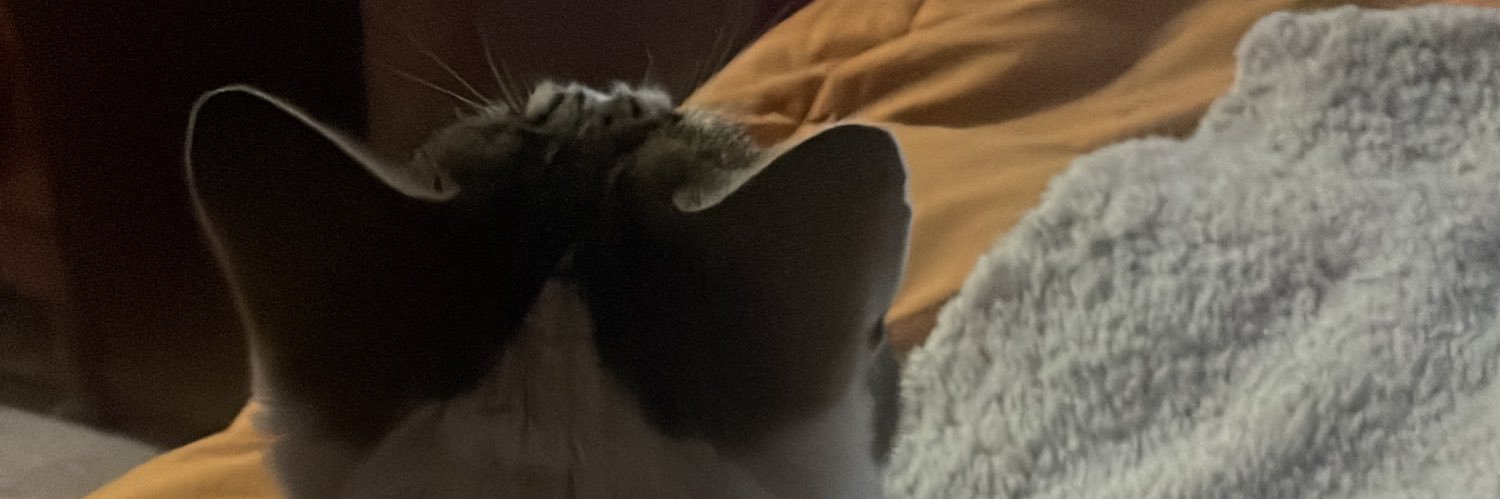 sitapioja's profile banner image