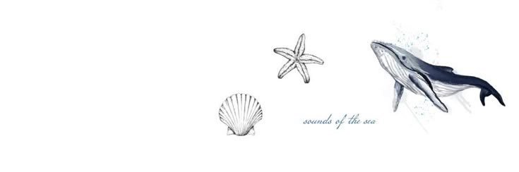 ✿ banner